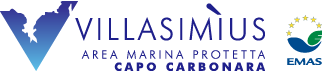 logo amp